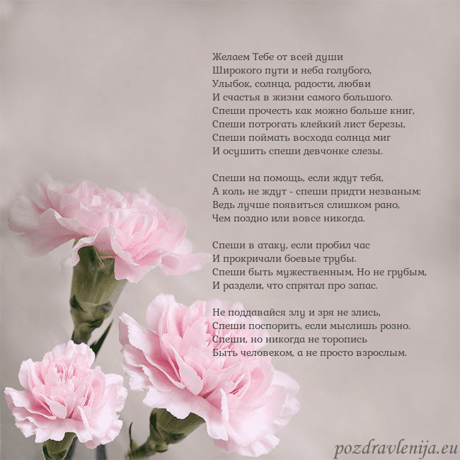 Открытка с розовыми гвоздиками Желаем Тебе от всей души
Широкого пути и неба гол Открытка с розовыми гвоздиками