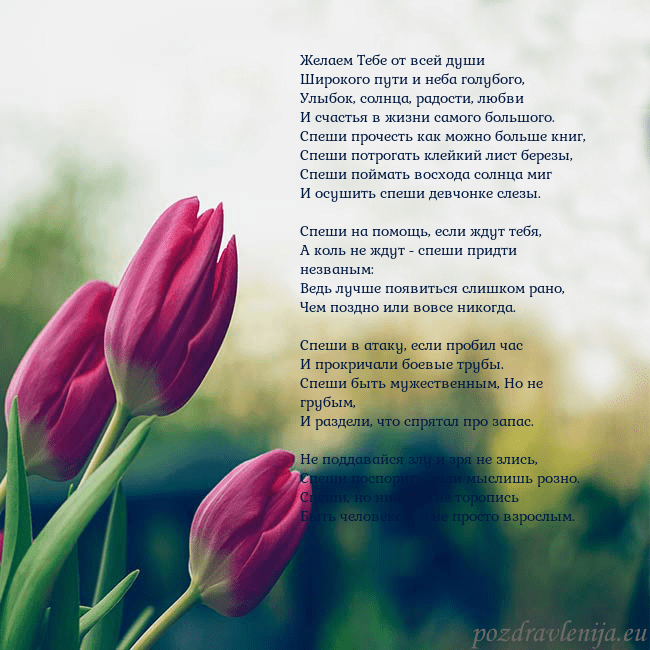 Открытка с тремя красными тюльпанами Желаем Тебе от всей души
Широкого пути и неба гол Открытка с тремя красными тюльпанами