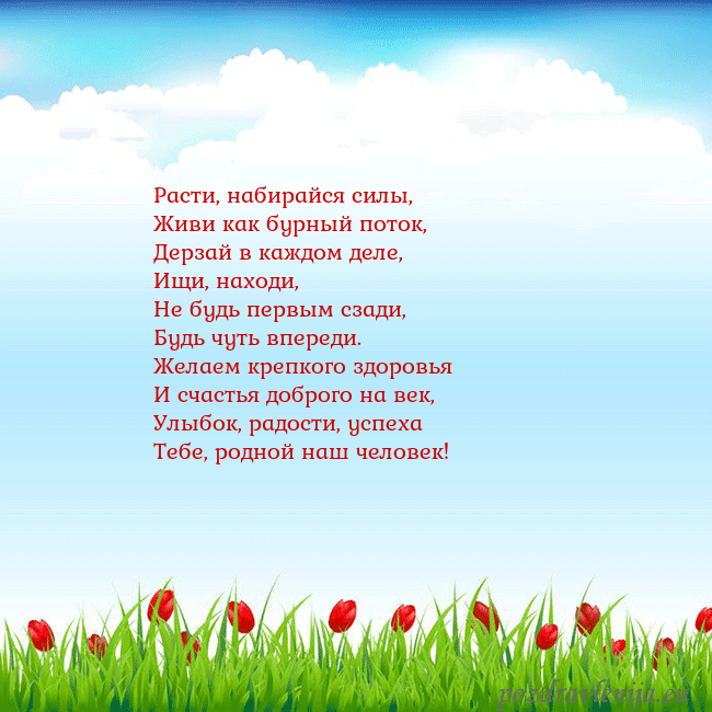 Открытка с тюльпанами