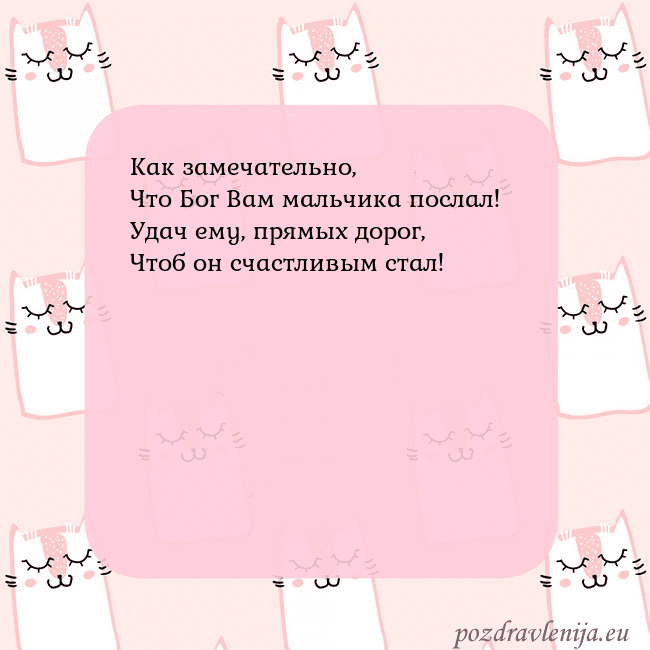 Розовая открытка с забавными кошками