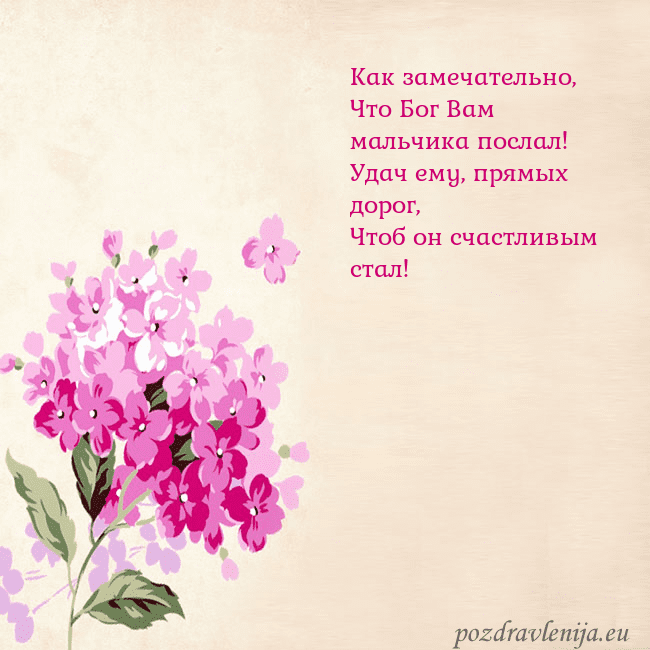 Открытка с гортензией