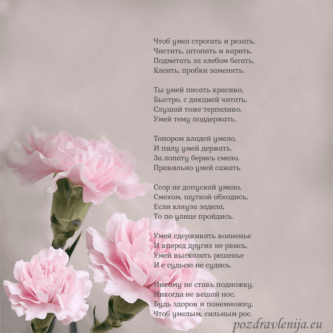 Открытка с розовыми гвоздиками Чтоб умел строгать и резать,
Чистить, штопать и ва Открытка с розовыми гвоздиками