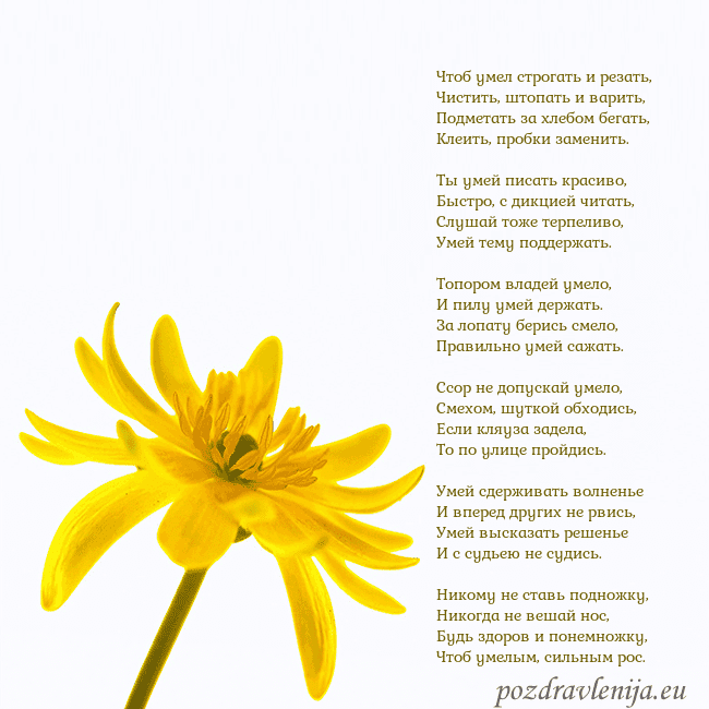 Открытка с желтым цветком