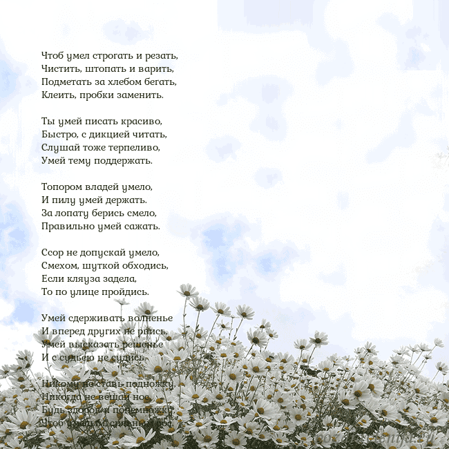 Открытка с ромашками