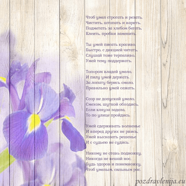 Открытка с ирисами