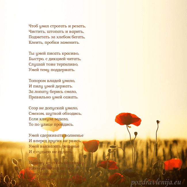 Электронная открытка с полем маков