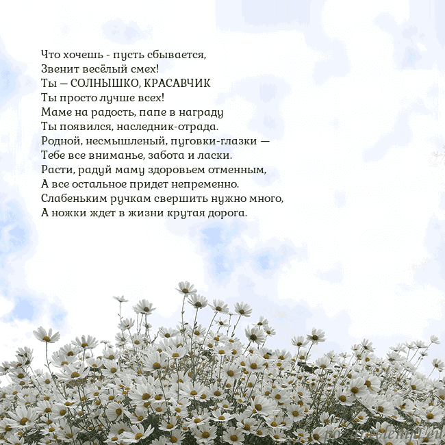 Открытка с ромашками