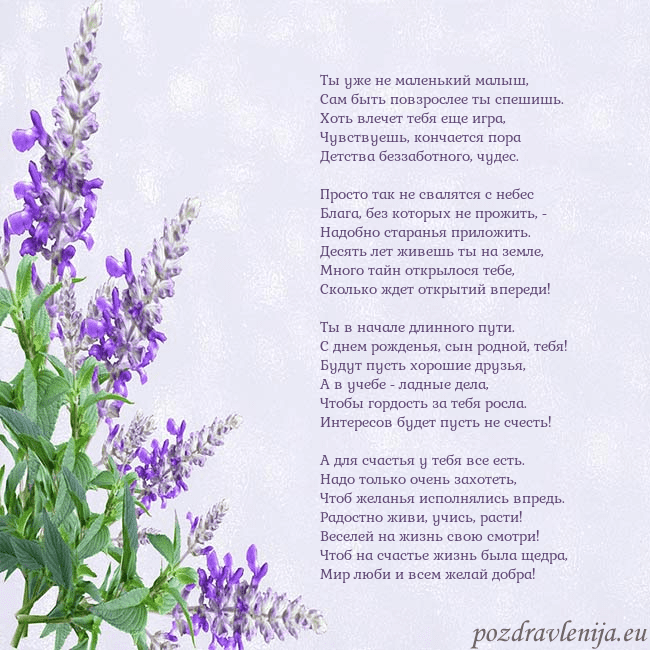 Открытка с люпинами Ты уже не маленький малыш,
Сам быть повзрослее ты Открытка с люпинами