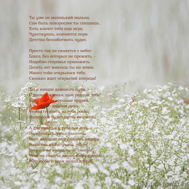 Электронная открытка с белыми цветами