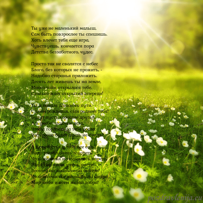 Электронная открытка с утопающим в солнечном свете лугом Ты уже не маленький малыш,
Сам быть повзрослее ты Электронная открытка с утопающим в солнечном свете лугом