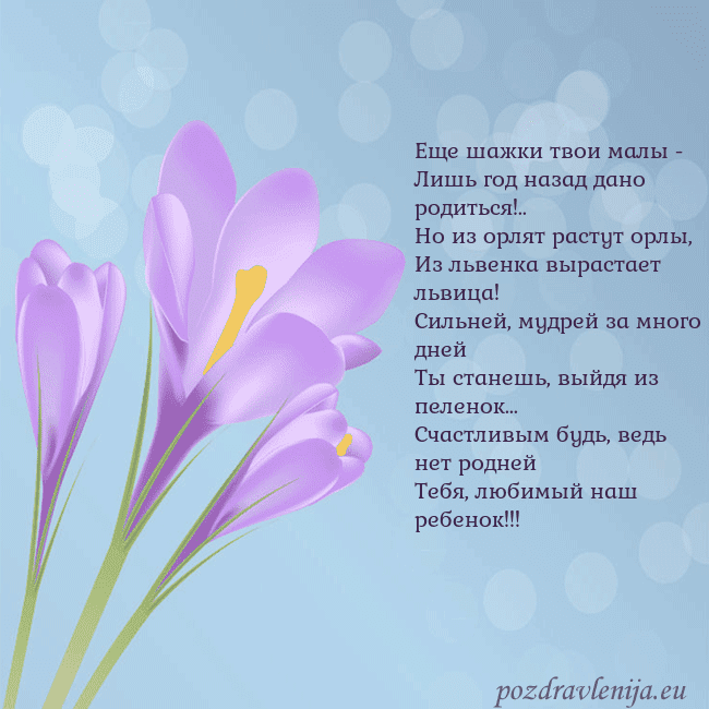 Открытка с крокусом