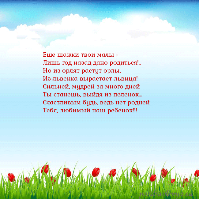 Открытка с тюльпанами