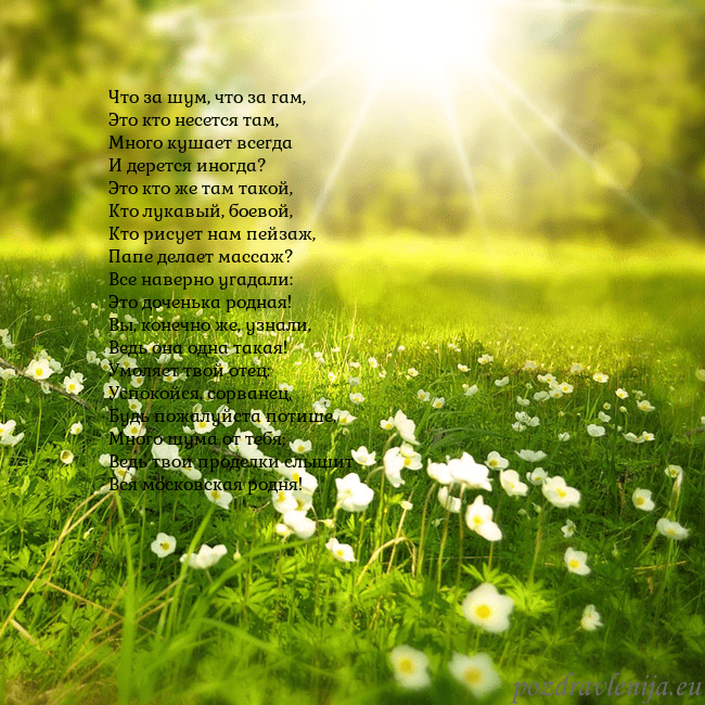 Электронная открытка с утопающим в солнечном свете лугом