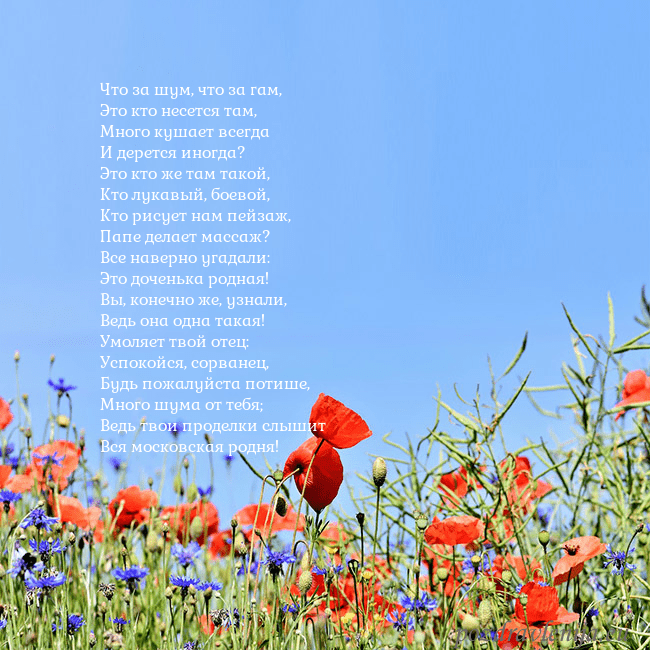 Открытка с маками