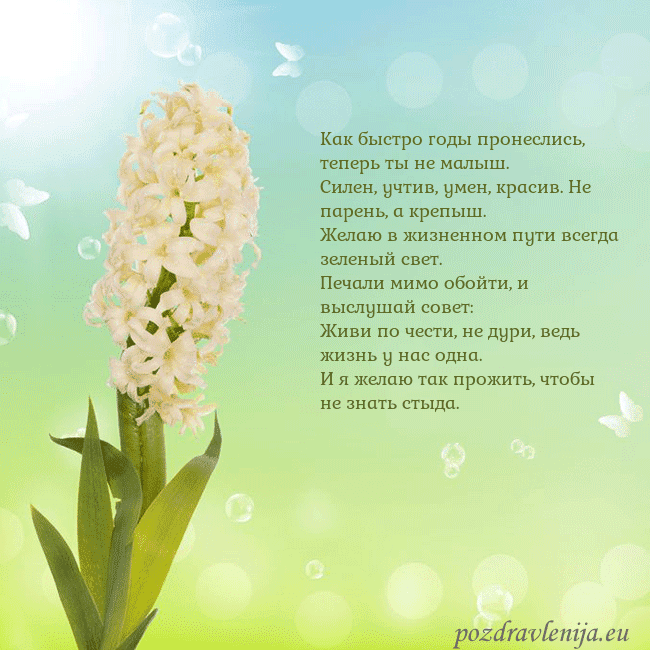 Открытка с гиацинтом