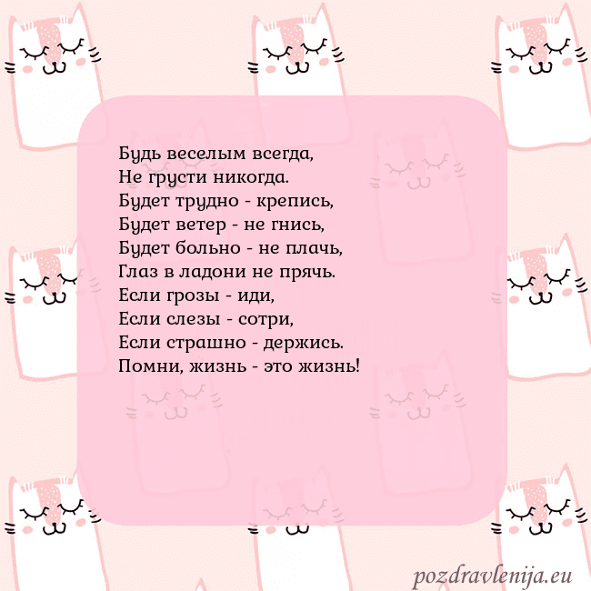 Розовая открытка с забавными кошками