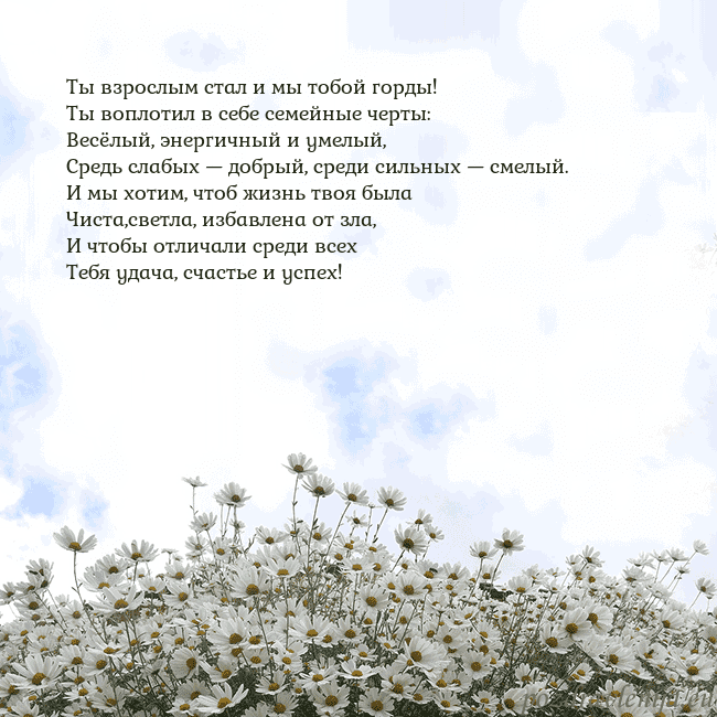 Открытка с ромашками