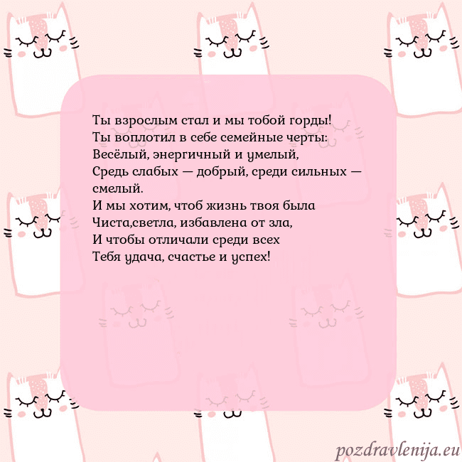 Розовая открытка с забавными кошками