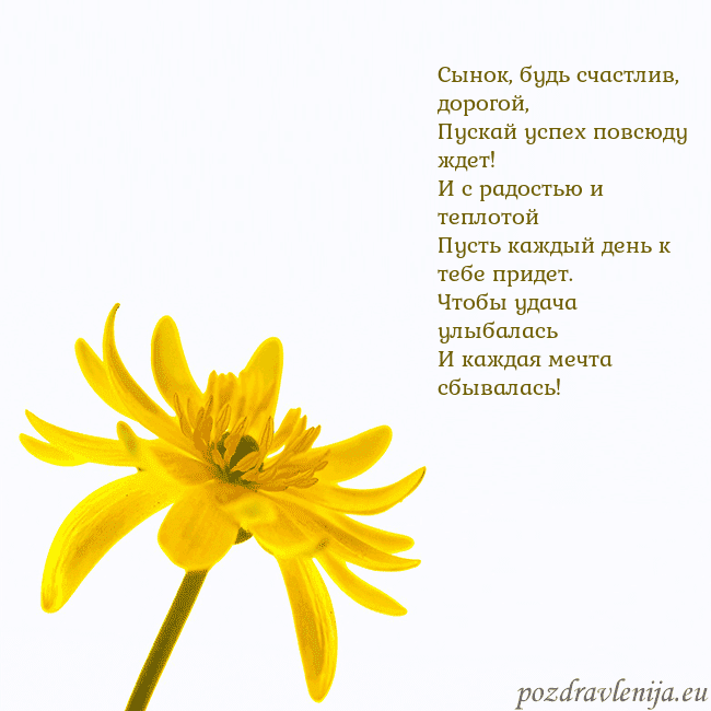 Открытка с желтым цветком