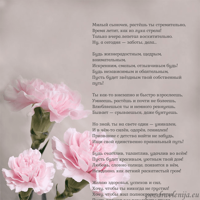Открытка с розовыми гвоздиками Милый сыночек, растёшь ты стремительно,
Время лети Открытка с розовыми гвоздиками