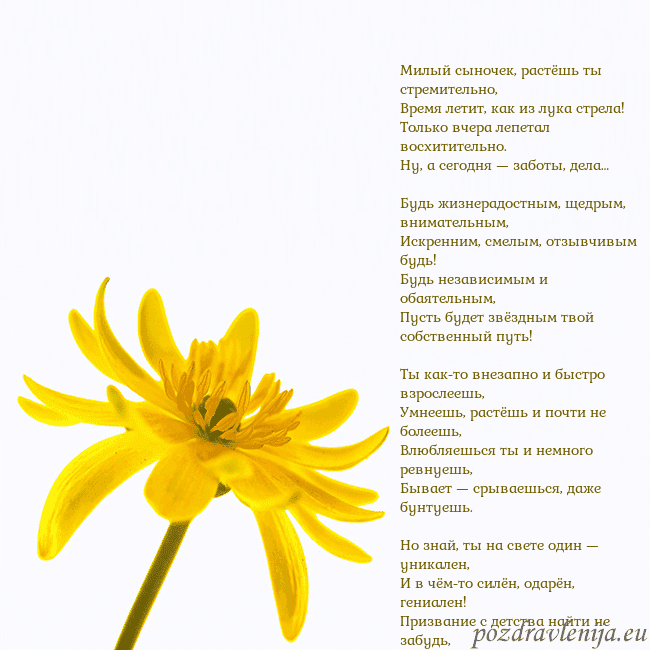 Открытка с желтым цветком Милый сыночек, растёшь ты стремительно,
Время лети Открытка с желтым цветком