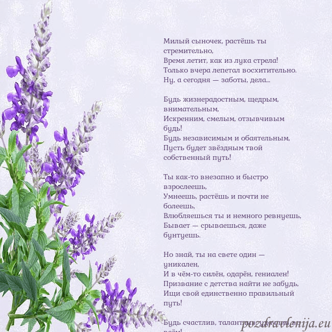 Открытка с люпинами Милый сыночек, растёшь ты стремительно,
Время лети Открытка с люпинами