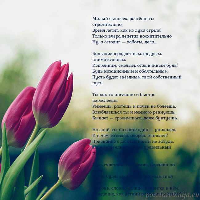Открытка с тремя красными тюльпанами Милый сыночек, растёшь ты стремительно,
Время лети Открытка с тремя красными тюльпанами