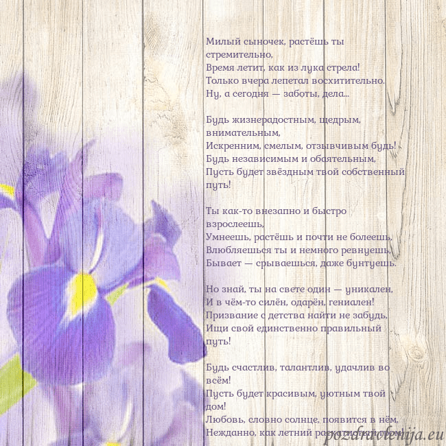 Открытка с ирисами Милый сыночек, растёшь ты стремительно,
Время лети Открытка с ирисами
