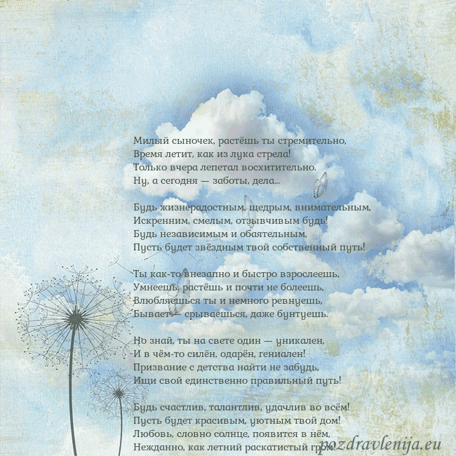 Открытка с облаками, пухом одуванчика и бабочкой Милый сыночек, растёшь ты стремительно,
Время лети Открытка с облаками, пухом одуванчика и бабочкой