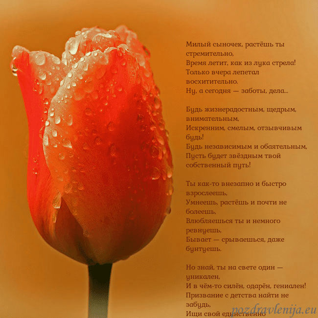 Открытка с красным тюльпаном Милый сыночек, растёшь ты стремительно,
Время лети Открытка с красным тюльпаном