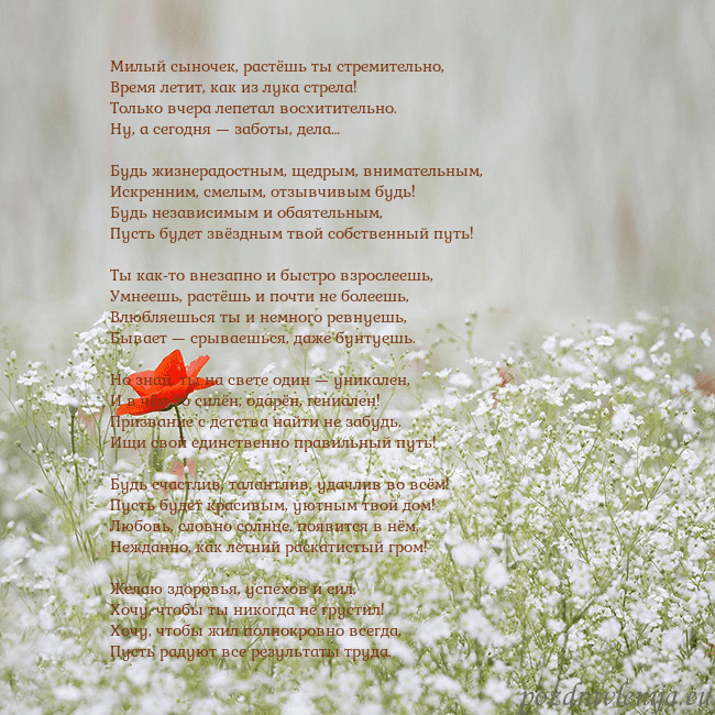 Электронная открытка с белыми цветами