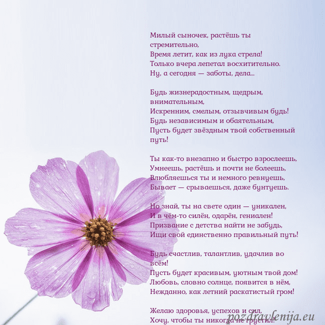 Электронная открытка с фиолетовым цветком