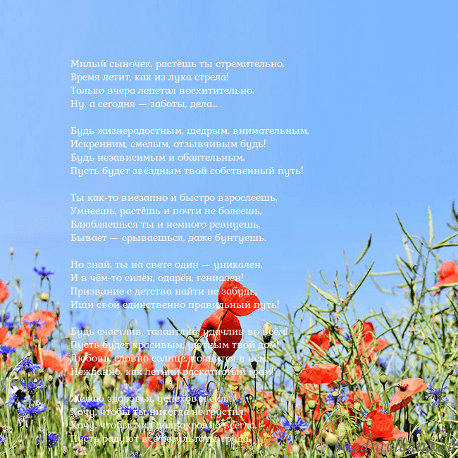 Открытка с маками Милый сыночек, растёшь ты стремительно,
Время лети Открытка с маками