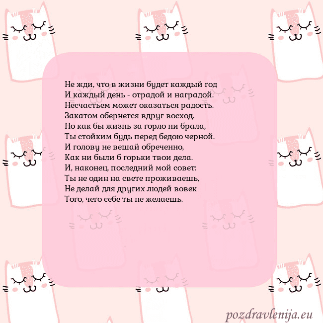 Розовая открытка с забавными кошками