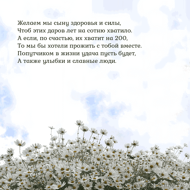 Открытка с ромашками