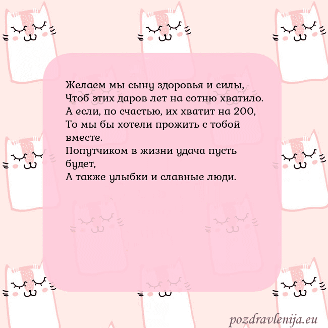 Розовая открытка с забавными кошками