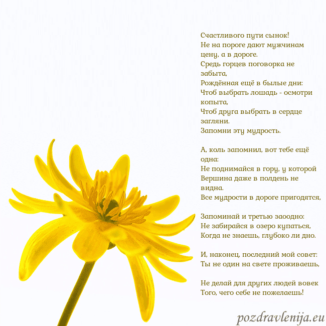 Открытка с желтым цветком