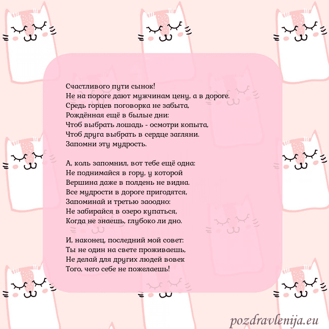 Розовая открытка с забавными кошками