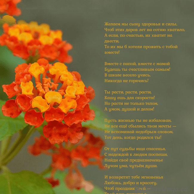 Открытка с оранжевыми цветами Желаем мы сыну здоровья и силы,
Чтоб этих даров ле Открытка с оранжевыми цветами