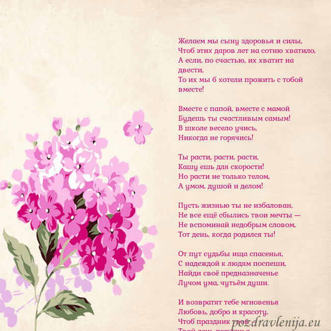 Открытка с гортензией Желаем мы сыну здоровья и силы,
Чтоб этих даров ле Открытка с гортензией