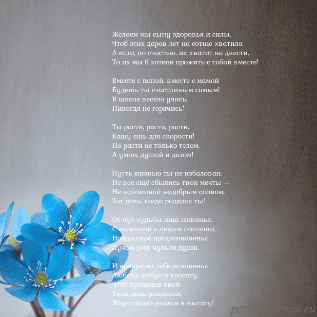 Открытка с фиалками