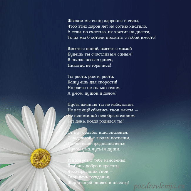 Открытка с большой ромашкой Желаем мы сыну здоровья и силы,
Чтоб этих даров ле Открытка с большой ромашкой