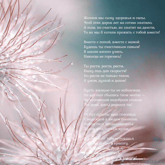Открытка с пушистыми растениями Желаем мы сыну здоровья и силы,
Чтоб этих даров ле Открытка с пушистыми растениями
