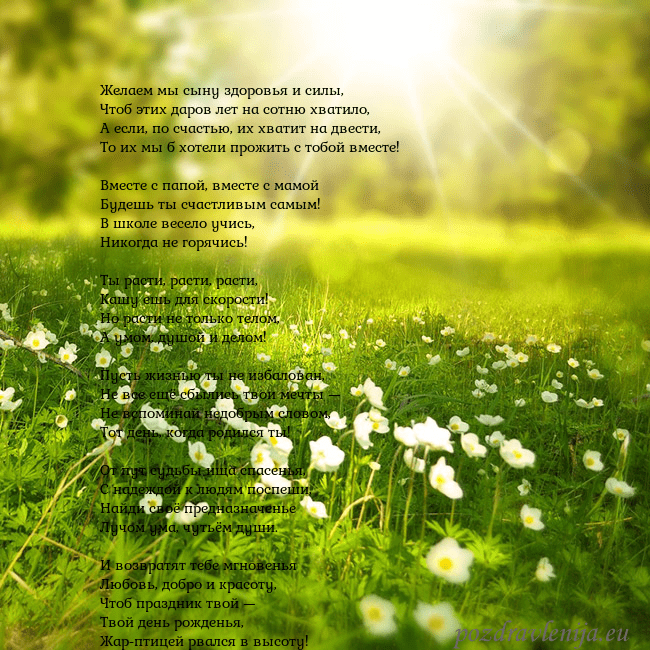 Электронная открытка с утопающим в солнечном свете лугом