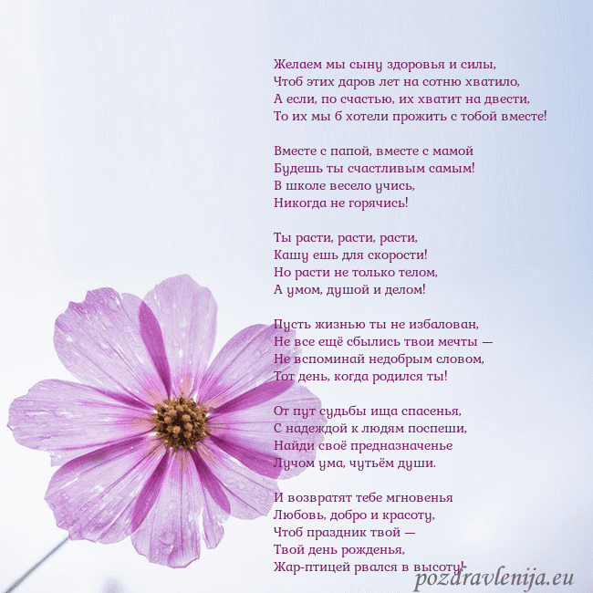 Электронная открытка с фиолетовым цветком