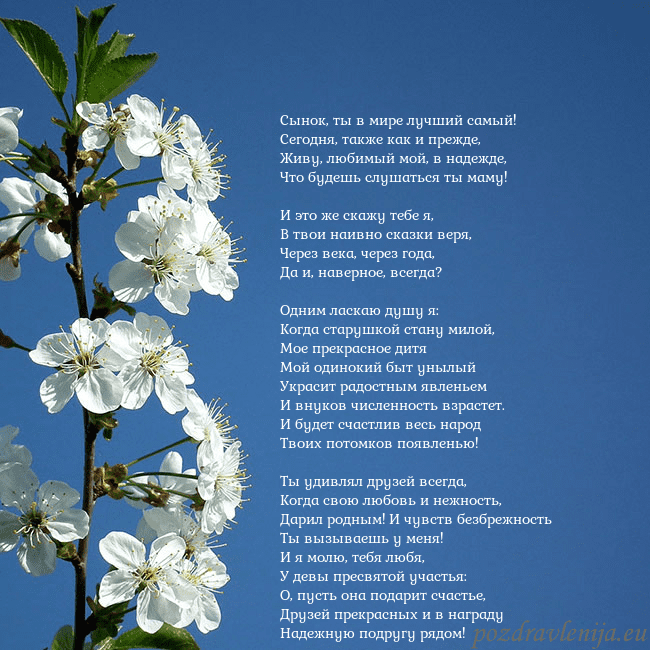 Открытка с весенними цветами Сынок, ты в мире лучший самый!
Сегодня, также как Открытка с весенними цветами