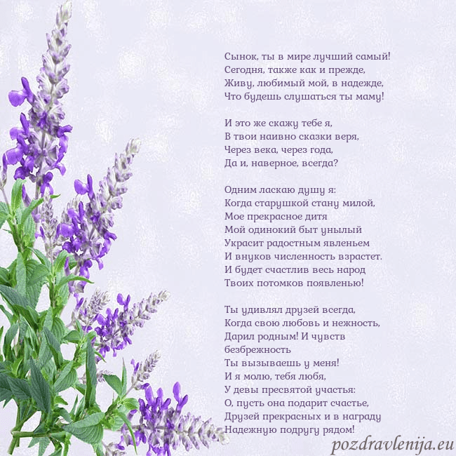 Открытка с люпинами Сынок, ты в мире лучший самый!
Сегодня, также как Открытка с люпинами