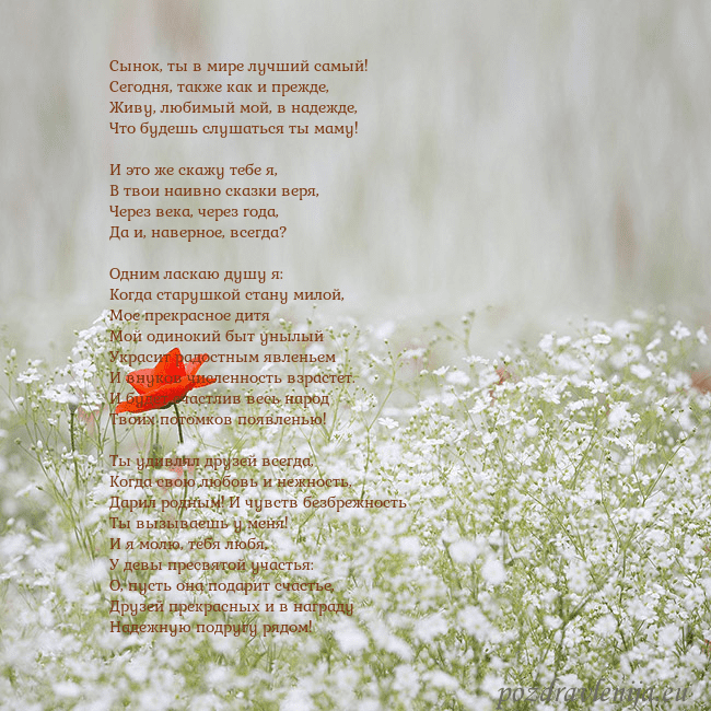 Электронная открытка с белыми цветами