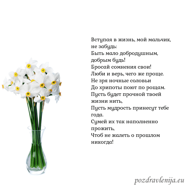Открытка с нарциссами