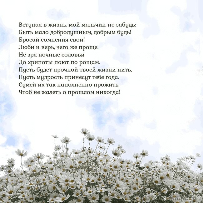 Открытка с ромашками